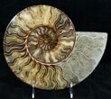 Gorgeous Split Ammonite Pair - Agatized #12457-4